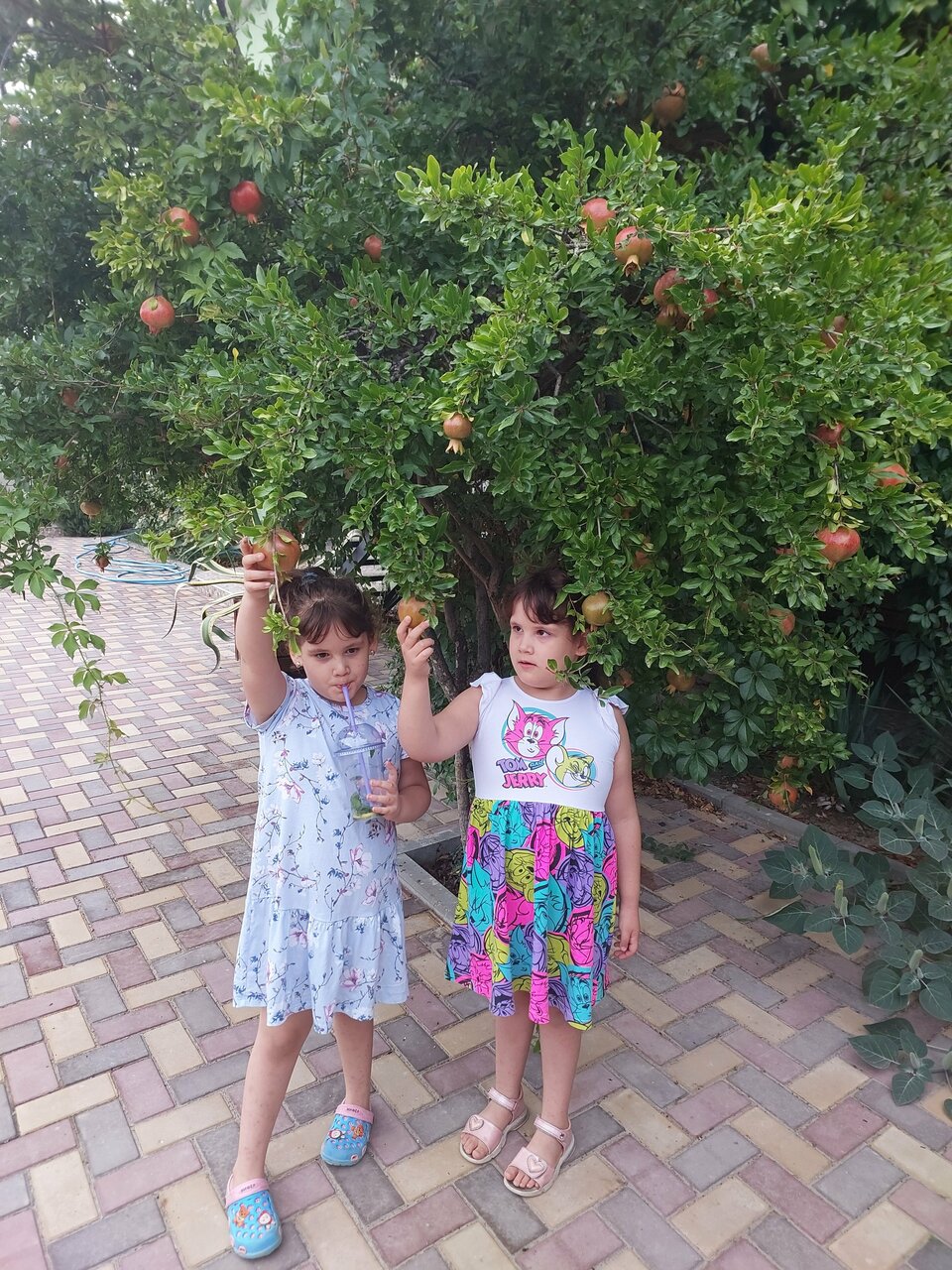 Гостиница У Эли Судак-36